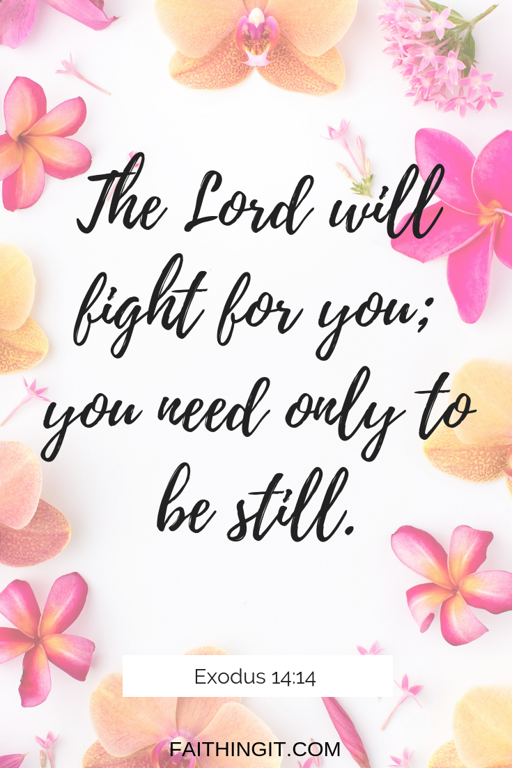 8 Reminders that God Fights for Us - Faithing It